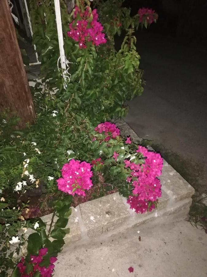 Guest House Kalina,Studio 5 Αμμουλιανή Εξωτερικό φωτογραφία